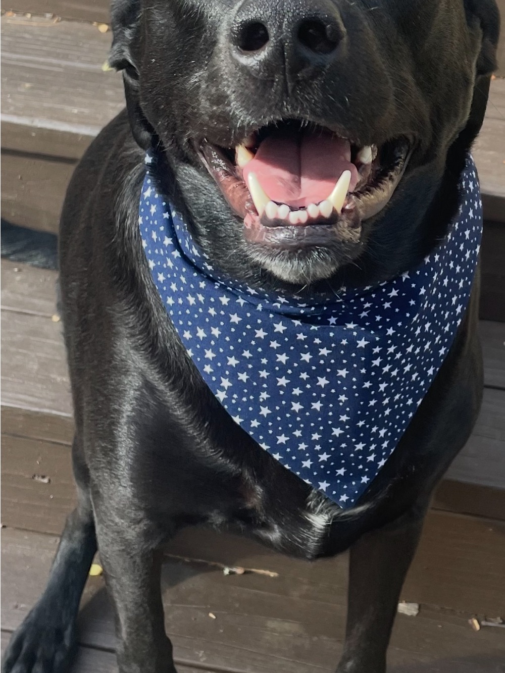 🇺🇸🐶 **Fourth of July Dog Bandanas – Handmade & Adorable!** 🐶🇺🇸